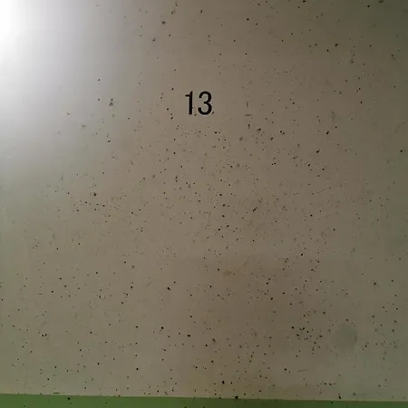 De 3 Con Piscina - Vacacional Appartamento Riaza