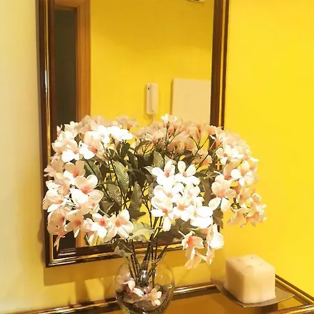 Apartamento De 3 Con Piscina - Vacacional