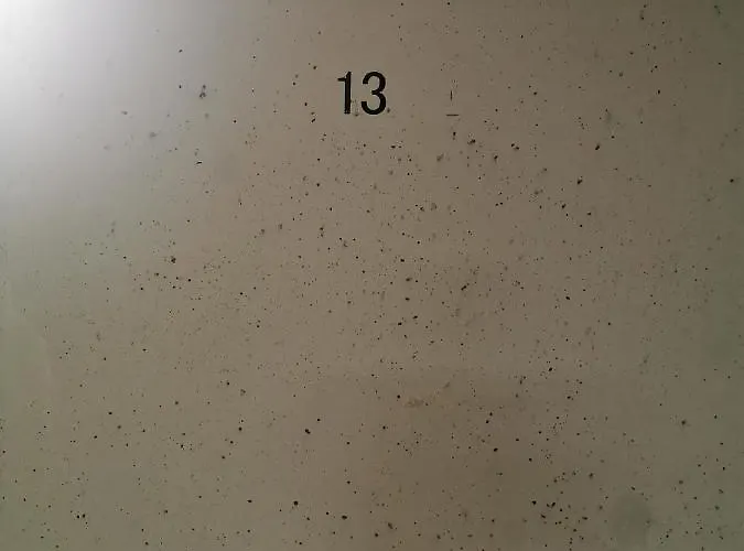 De 3 Con Piscina - Vacacional Appartement Riaza