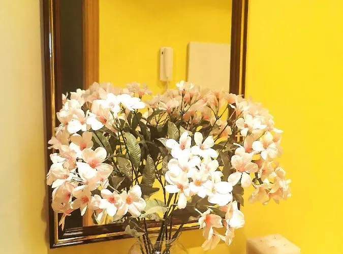 Appartement De 3 Con Piscina - Vacacional